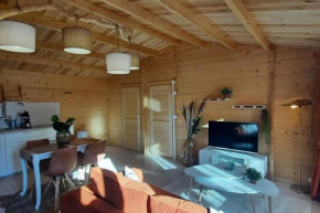 Chalet 1 chambre 2-4 personnes